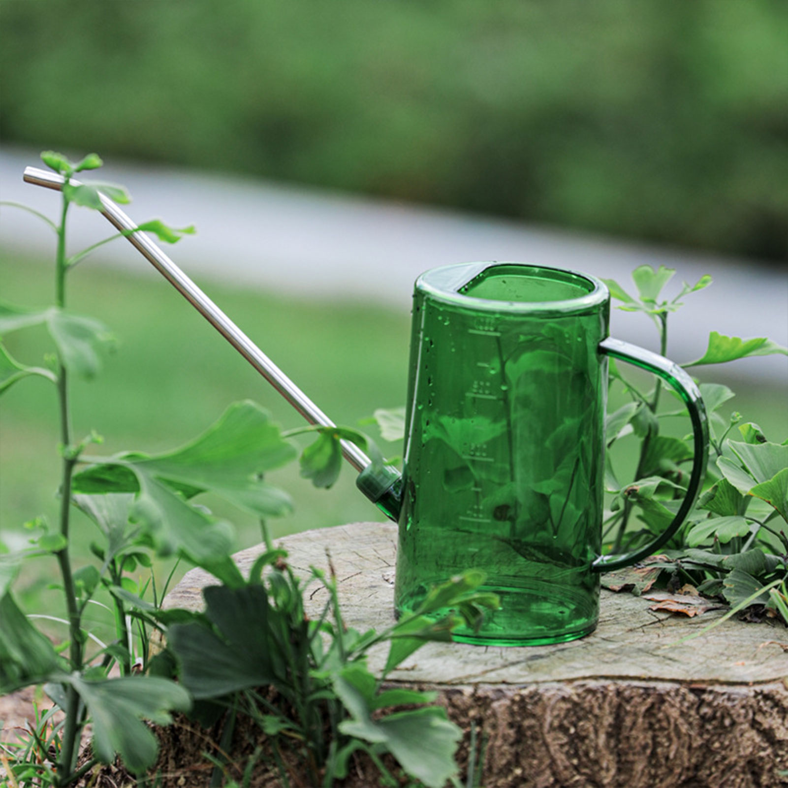 Watering Can Long Spout - 1L/1,5L Gießkanne für Zimmerpflanzen, transparent, abnehmbarer