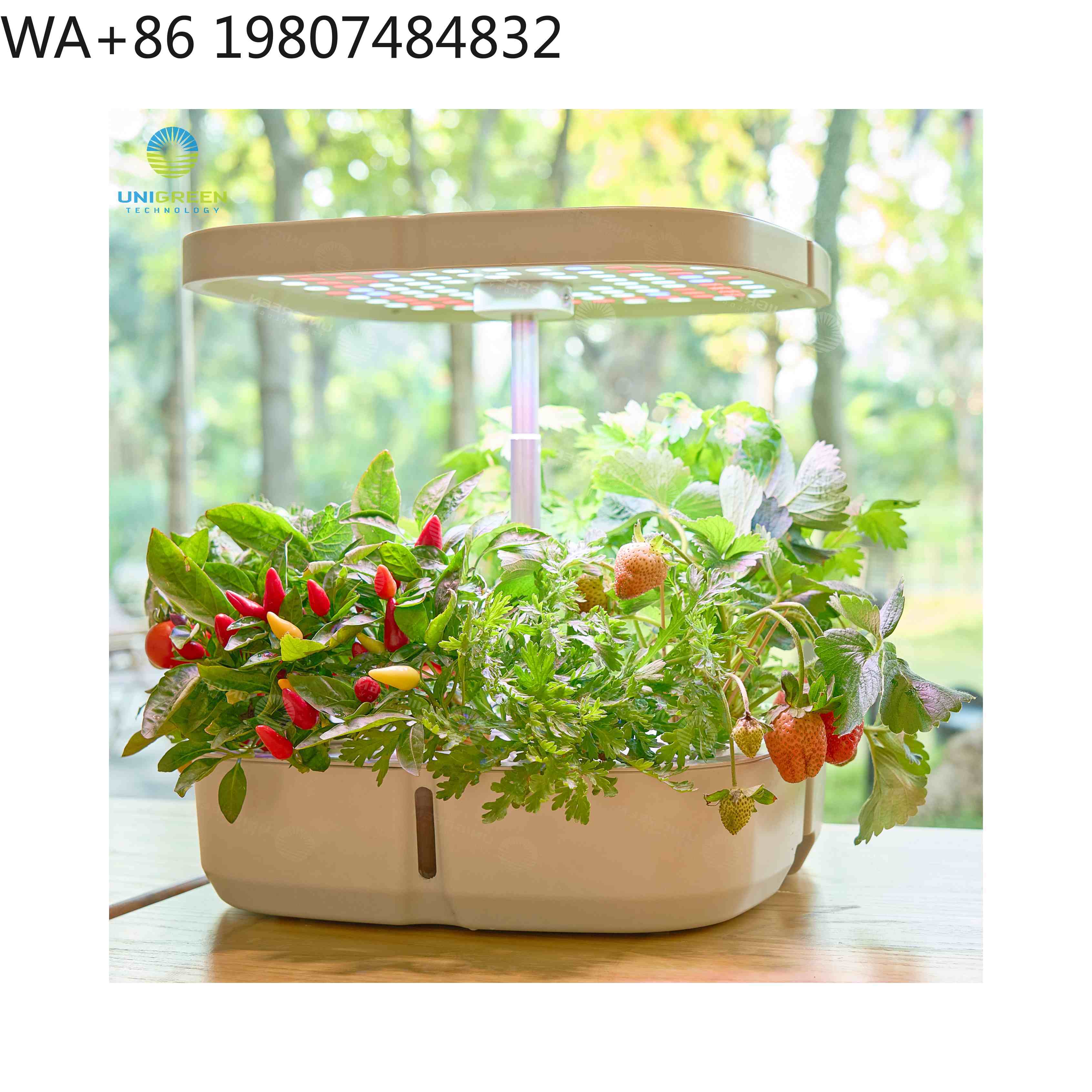 Led Grow Light - 8-Pod Mini-Hydrokultur-Anzuchtbox mit einstellbarem LED-Vollspektrum-Wachstumslicht, erdloses