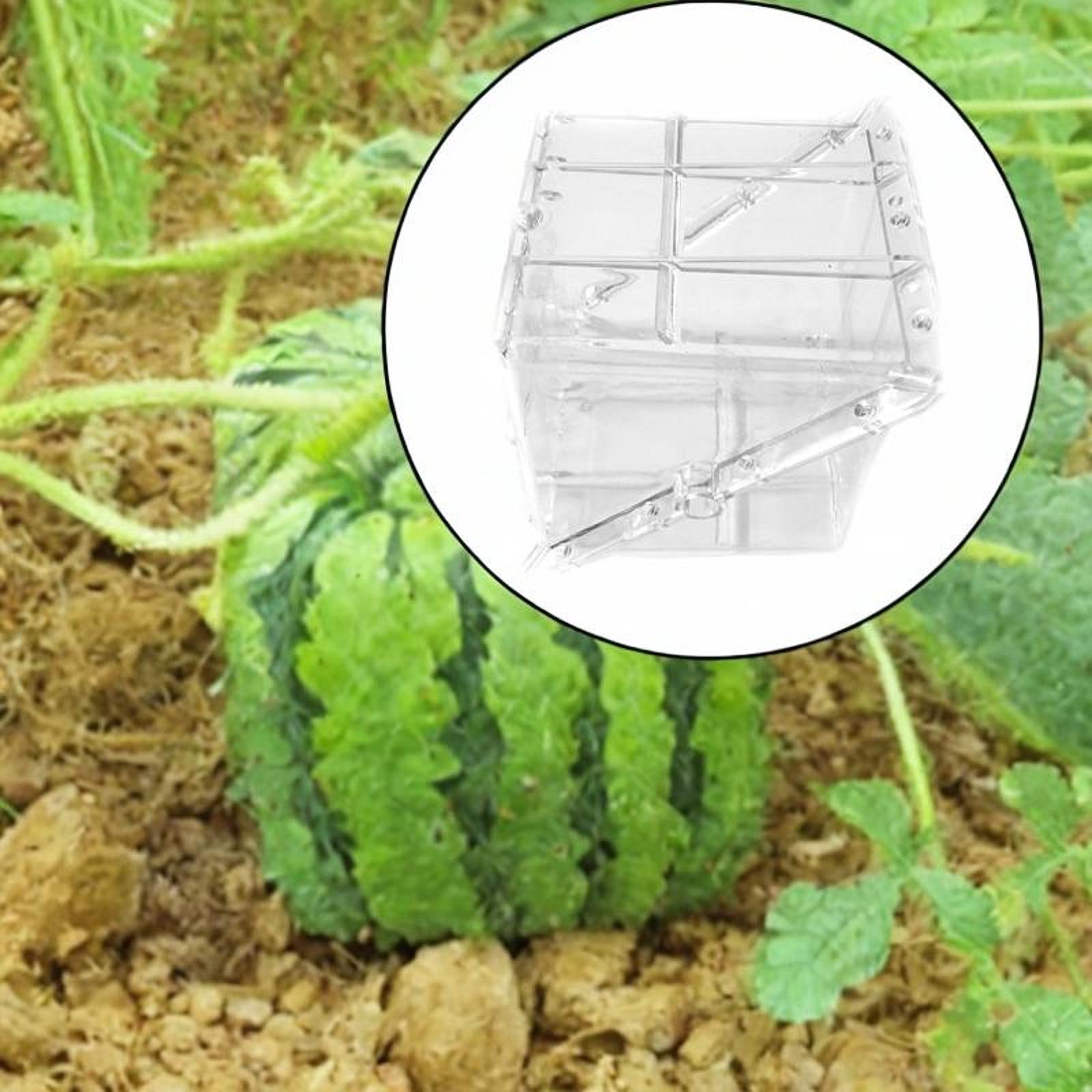 Gardening Tools Unique - Quadratische Wassermelonen-Wachstumsform-Ausrüstung, einfach zu bedienendes, hochfestes,