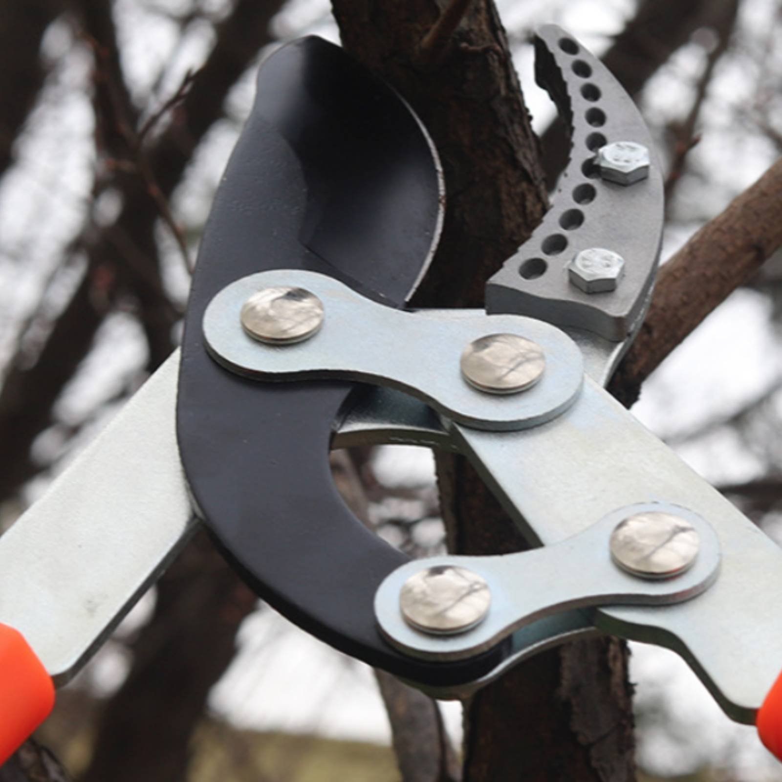 Gardening Tools - Teleskopische Astschere mit Scharfer Klinge, Robuste