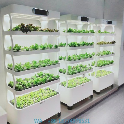 Led Grow Light - Hydroponisches automatisches Wachstumssystem, intelligentes hydroponisches Wachstumssystem,