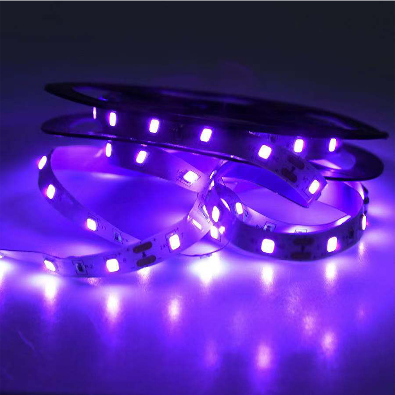 UV-LED-UV-Licht, schwarze UV-L – Led Grow Light Bewertung und Preis