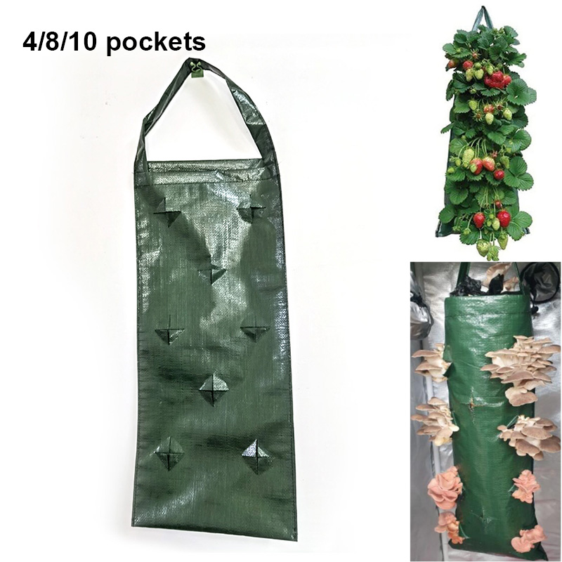 4 8 10 Taschen Wandbehang vert – Vertical Wall Planter Bewertung und Preis