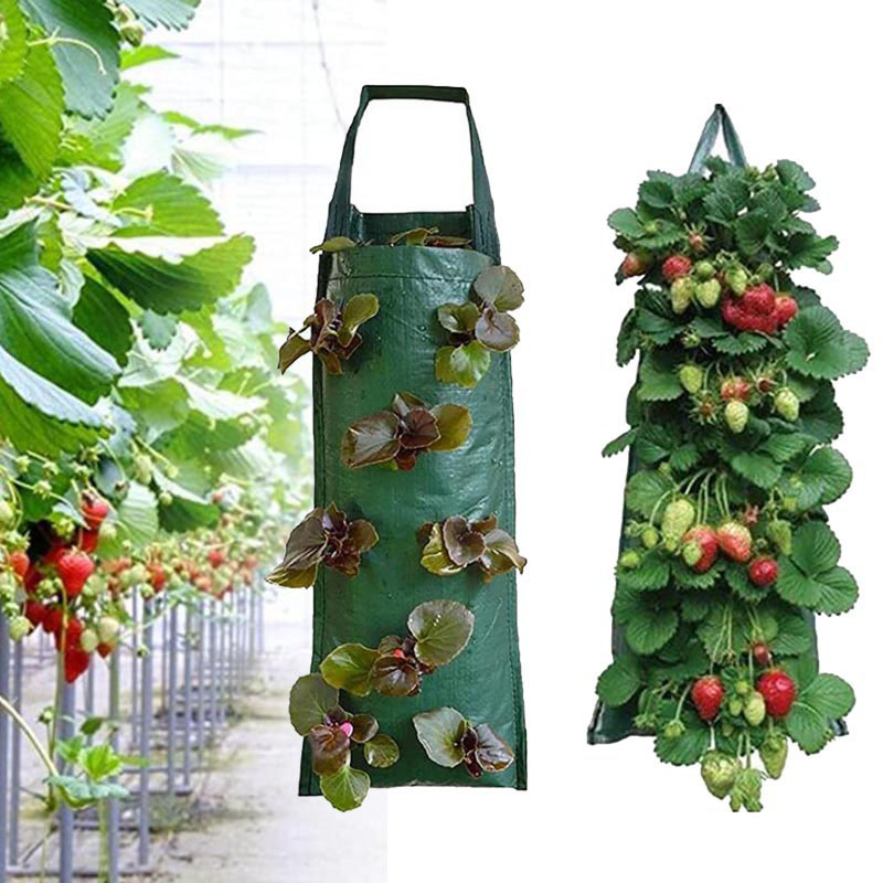 4 8 10 Taschen Wandbehang vert – Vertical Wall Planter Bewertung und Preis