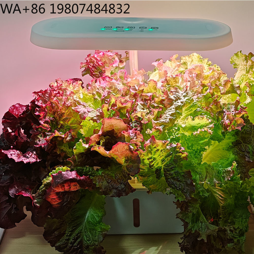 8-Loch-Silent-Zirkulations-Soi – Led Grow Light Bewertung und Preis