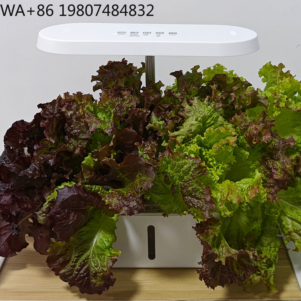 8-Loch-Silent-Zirkulations-Soi – Led Grow Light Bewertung und Preis