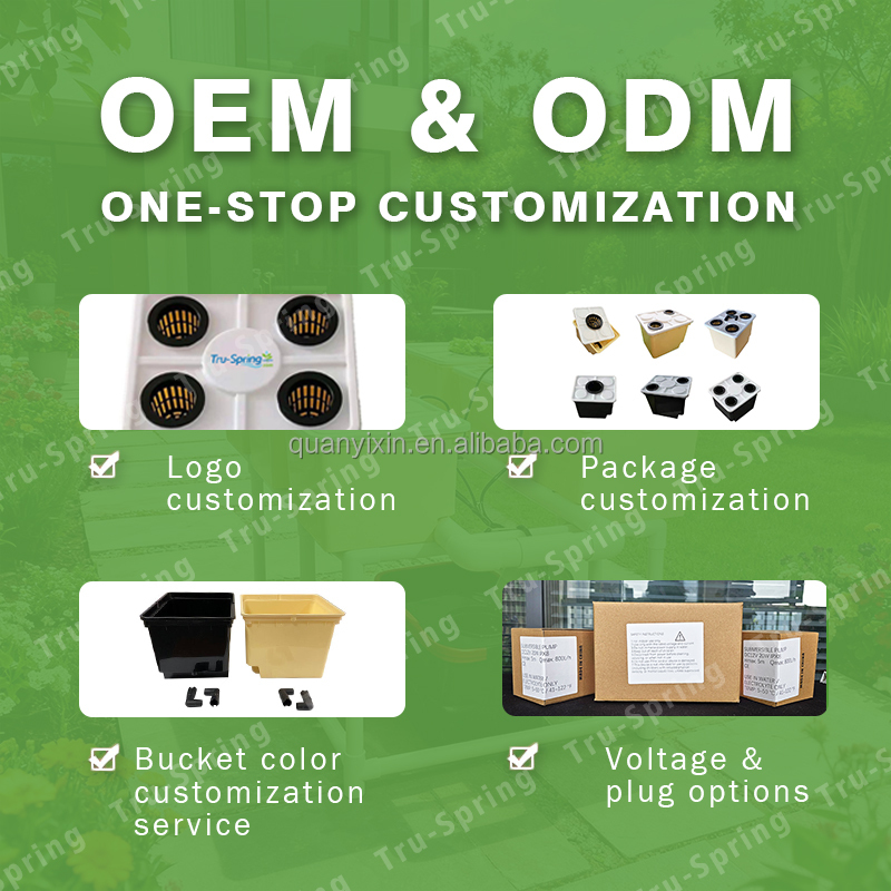Dutch-Bucket-Hydroponik-System – Led Grow Light Bewertung und Preis