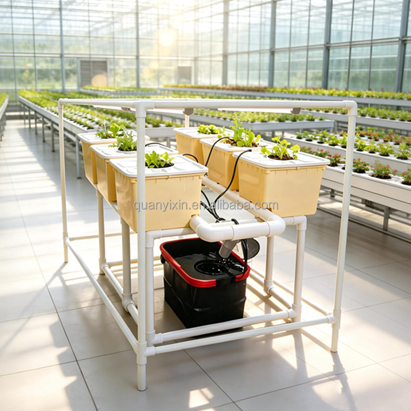 Dutch-Bucket-Hydroponik-System – Led Grow Light Bewertung und Preis