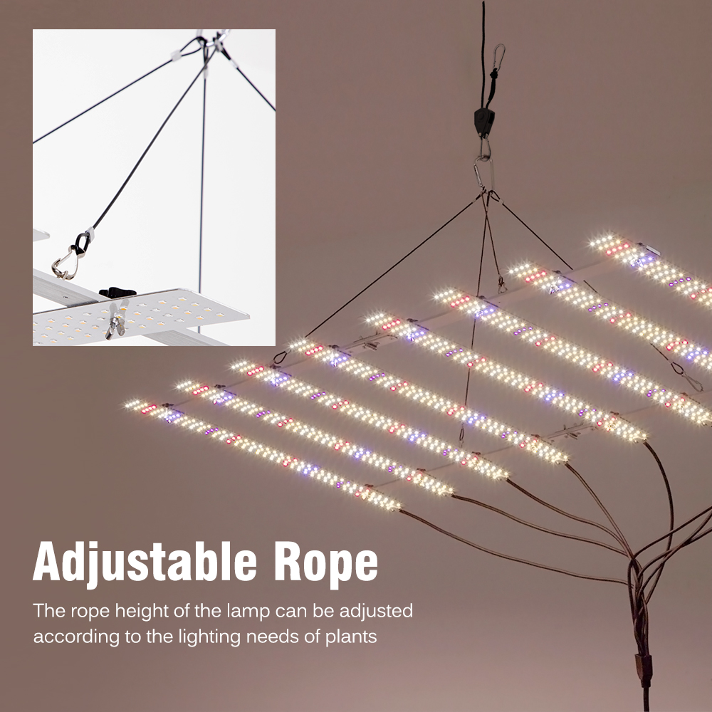🌴 100W 200W LED-Wachstumslampe – Led Grow Light Bewertung und Preis
