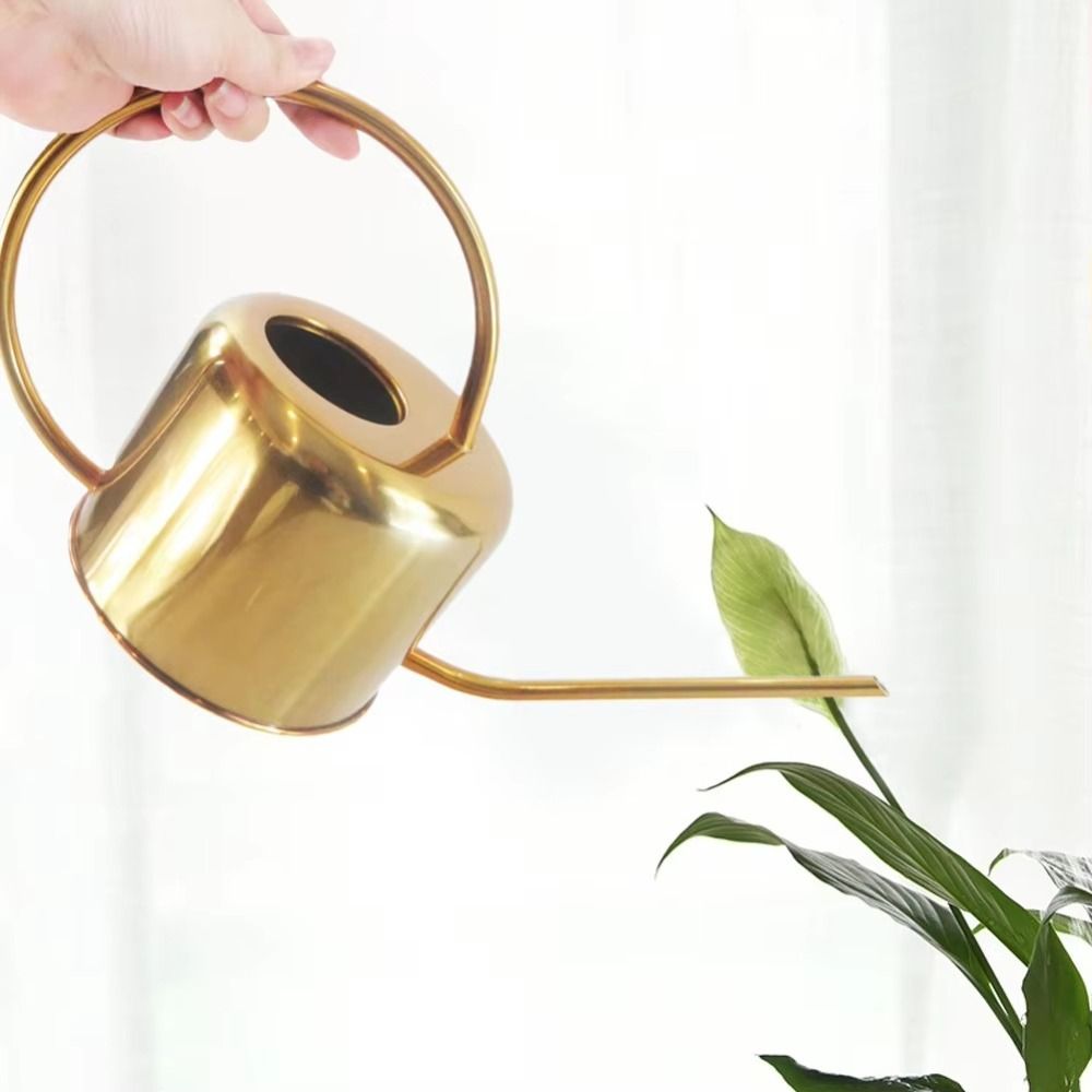 u Hochwertiger 1,3 l Pflanzens – Watering Can Long Spout Bewertung und Preis