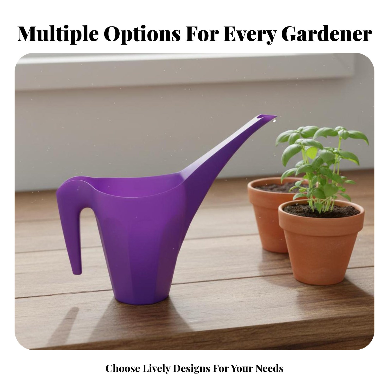 Kunststoff-Gießkanne mit Sprin – Watering Can Long Spout Bewertung und Preis