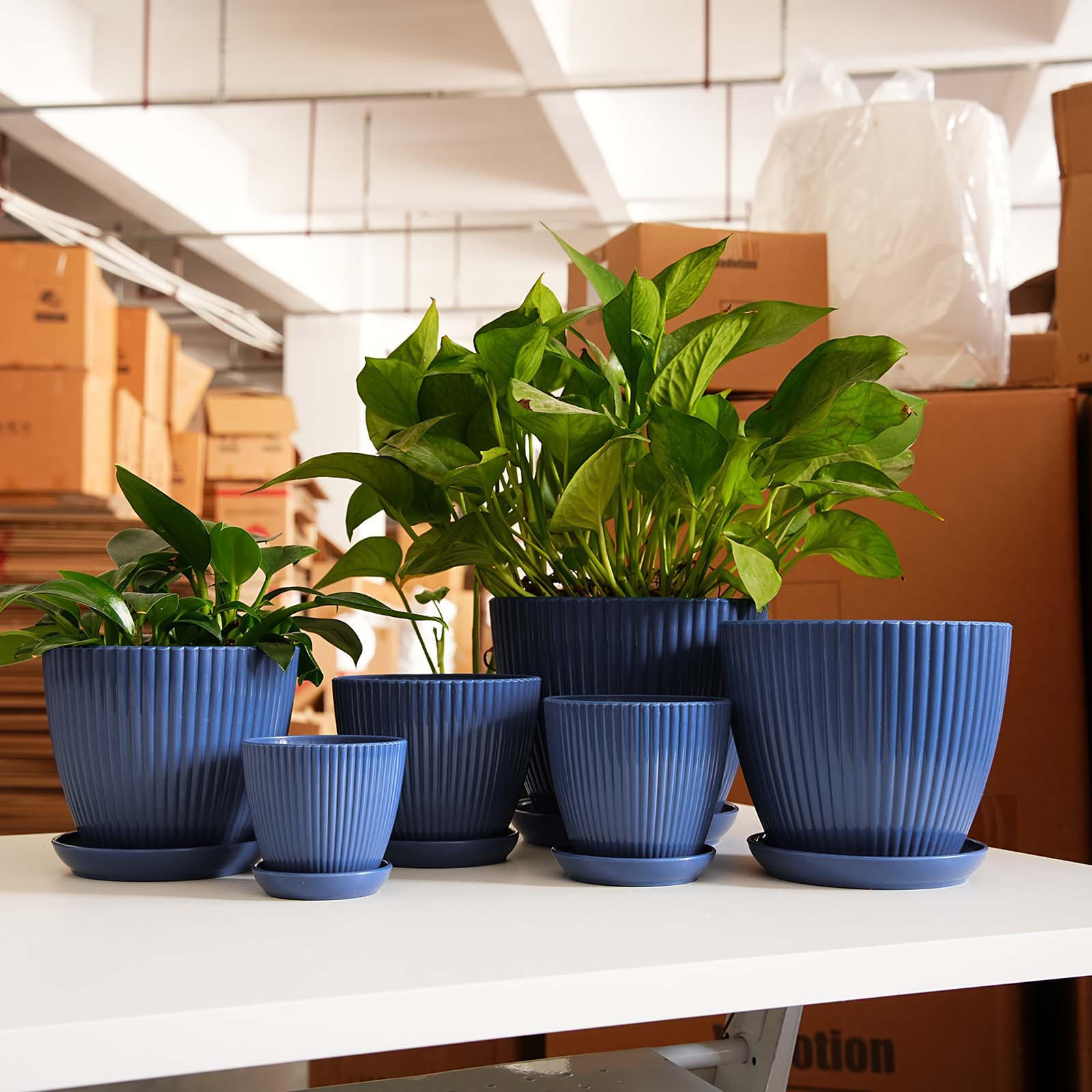 Vertikal gestreifter, verdickt – Vertical Wall Planter Bewertung und Preis