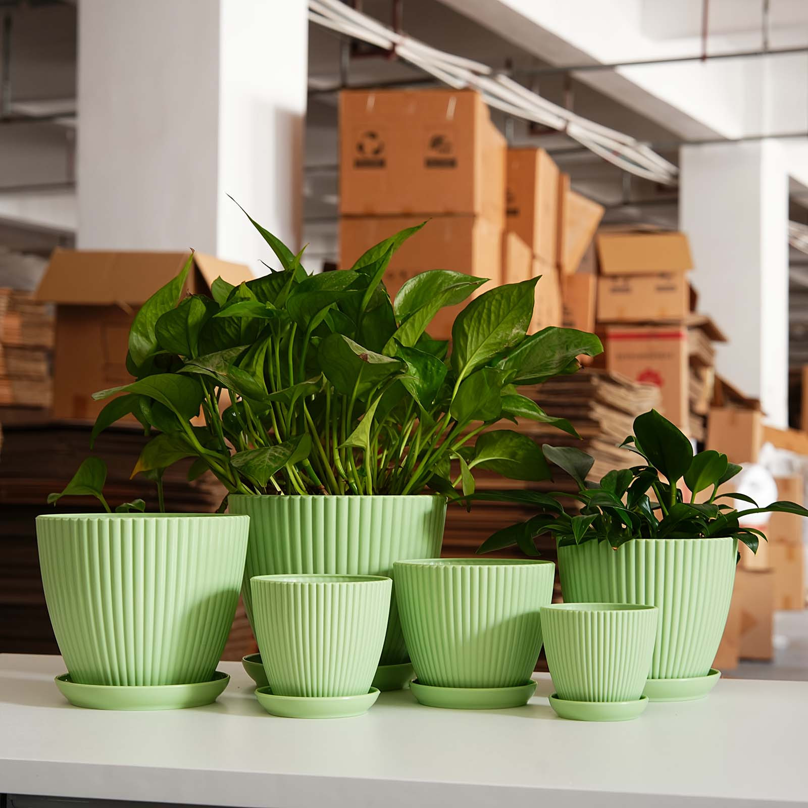 Vertikal gestreifter, verdickt – Vertical Wall Planter Bewertung und Preis