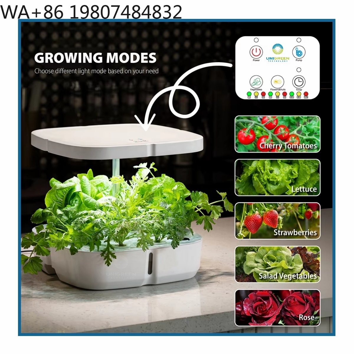 8-Pod Mini-Hydrokultur-Anzucht – Led Grow Light Bewertung und Preis