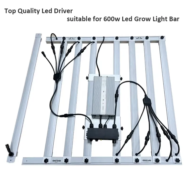 600W Grow-Light-Treiber Invent – Led Grow Light Bewertung und Preis
