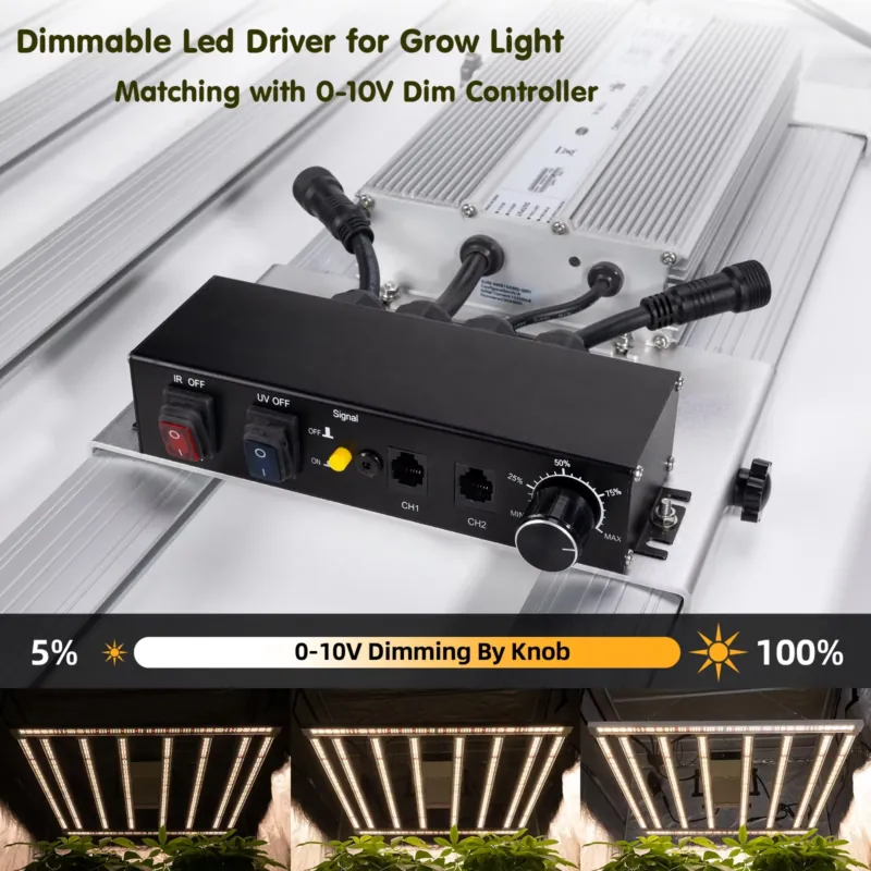 600W Grow-Light-Treiber Invent – Led Grow Light Bewertung und Preis