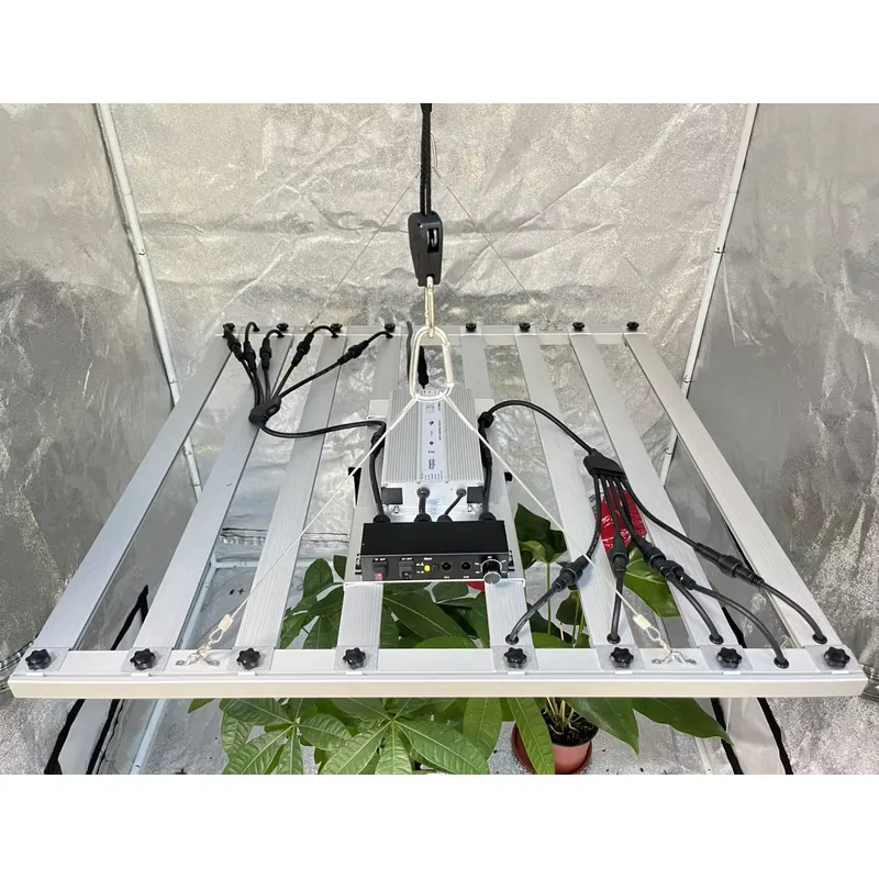 600W Grow-Light-Treiber Invent – Led Grow Light Bewertung und Preis