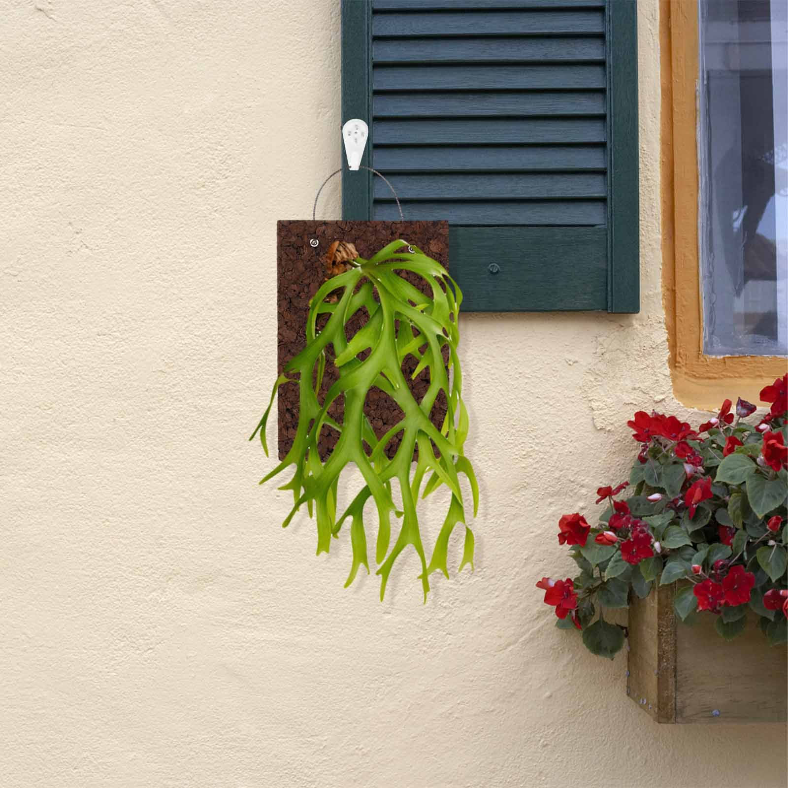 Rustikale Farn-Montageplatte a – Vertical Wall Planter Bewertung und Preis