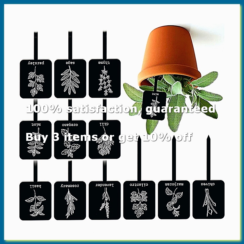 24 Stück Acryl-Pflanzenetikett – Gardening Tools Names Bewertung und Preis