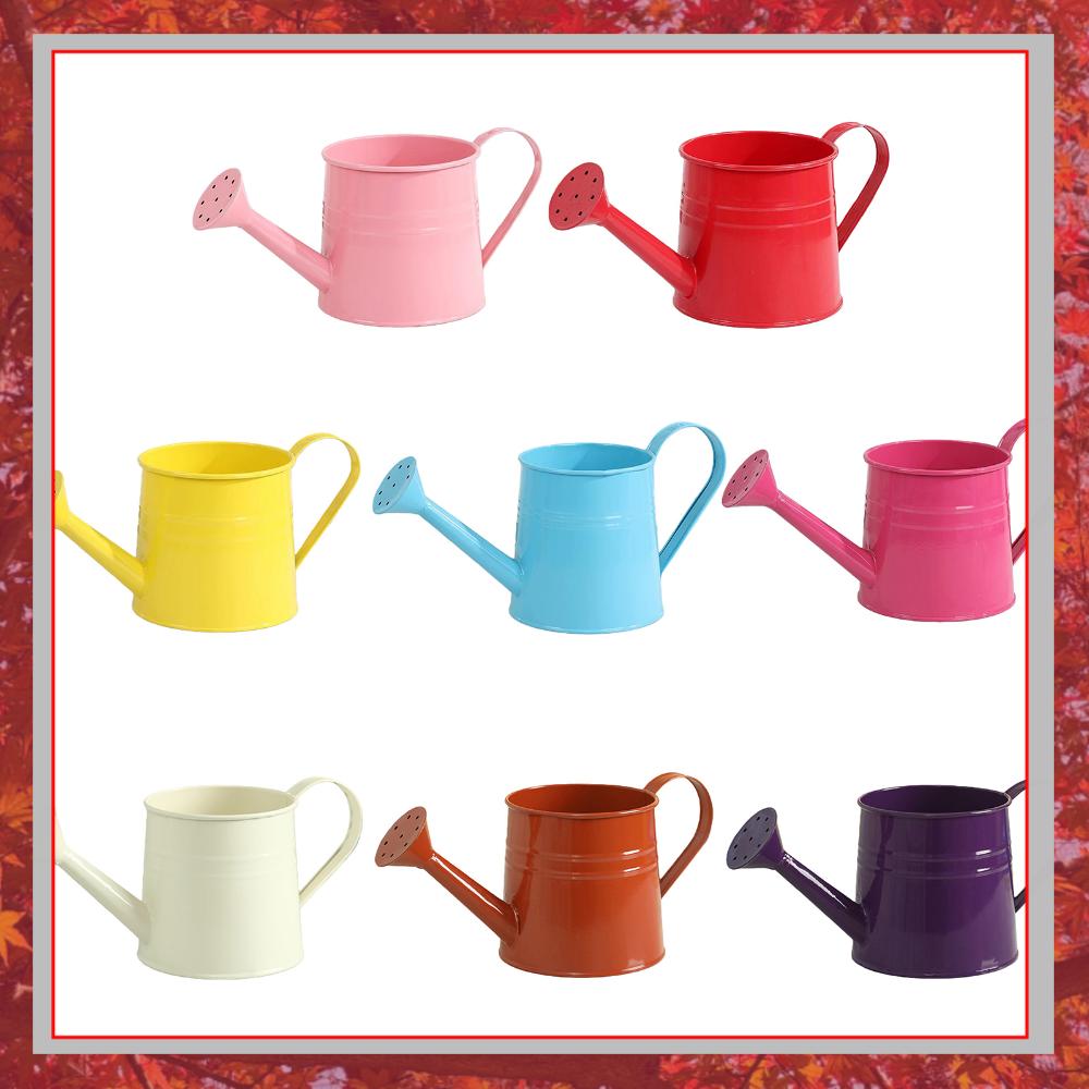 Blumen-Gießkanne mit Langem Au – Watering Can Long Spout Bewertung und Preis