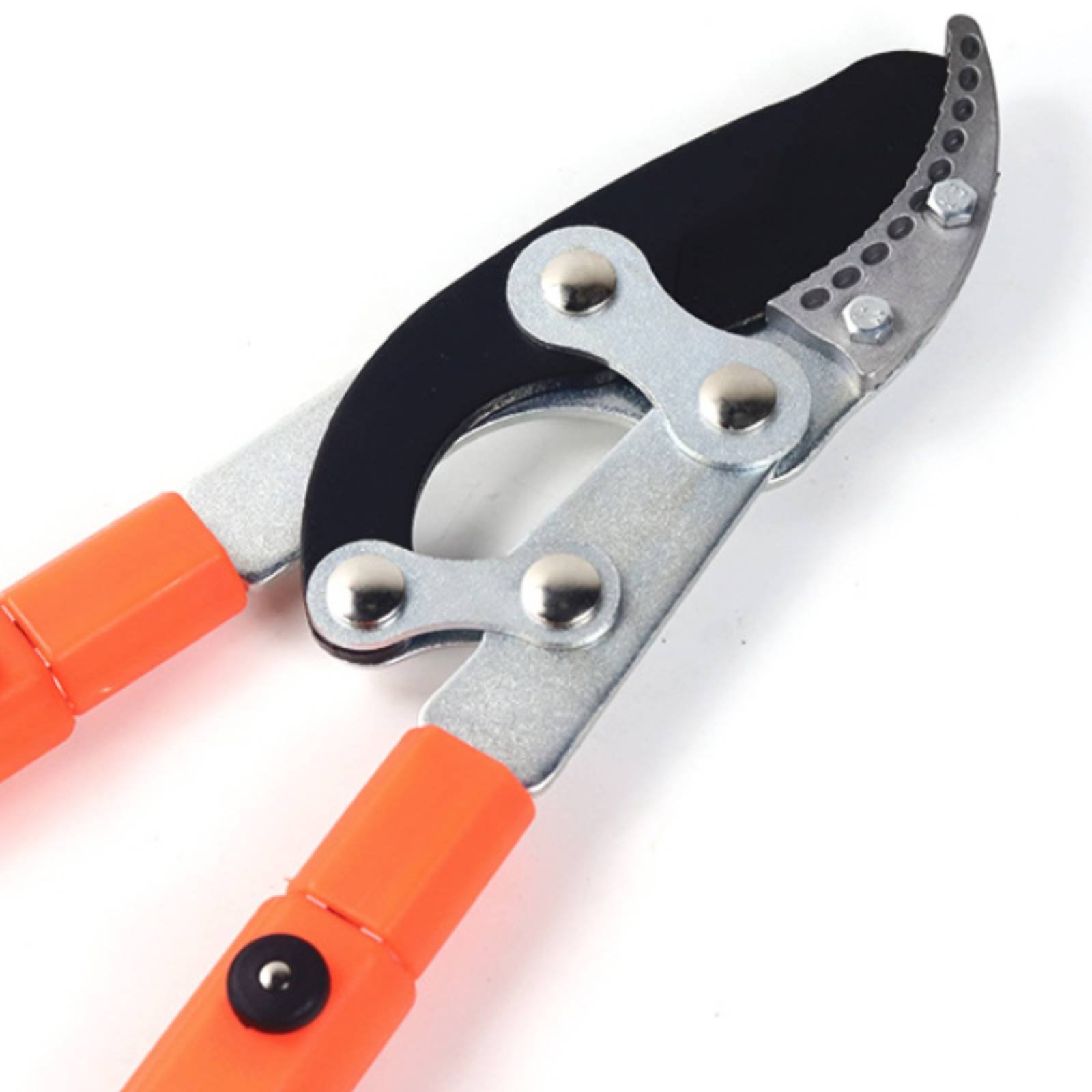 Teleskopische Astschere mit Sc – Gardening Tools Bewertung und Preis