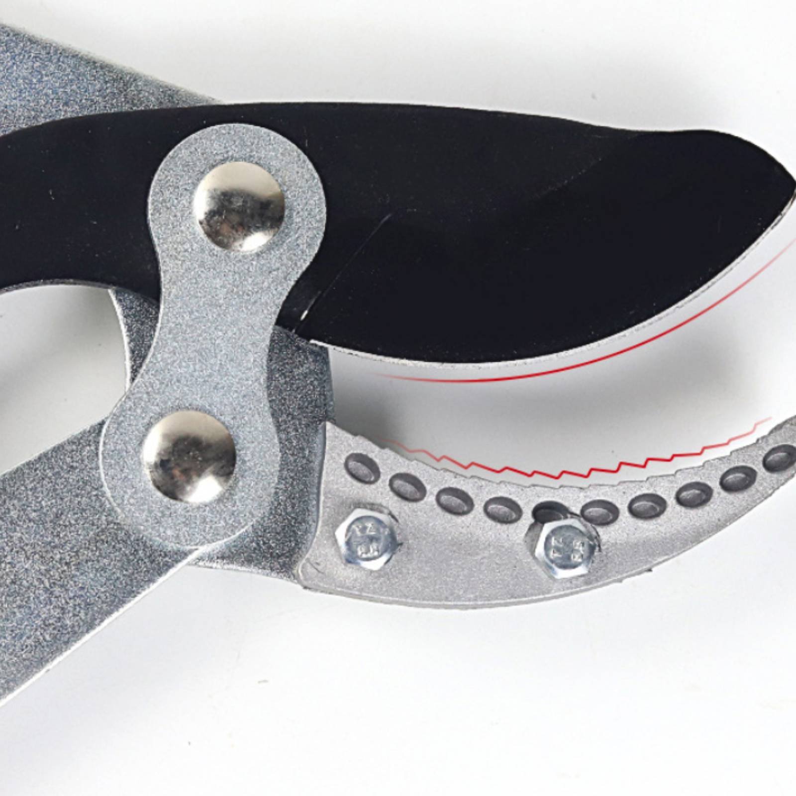Teleskopische Astschere mit Sc – Gardening Tools Bewertung und Preis