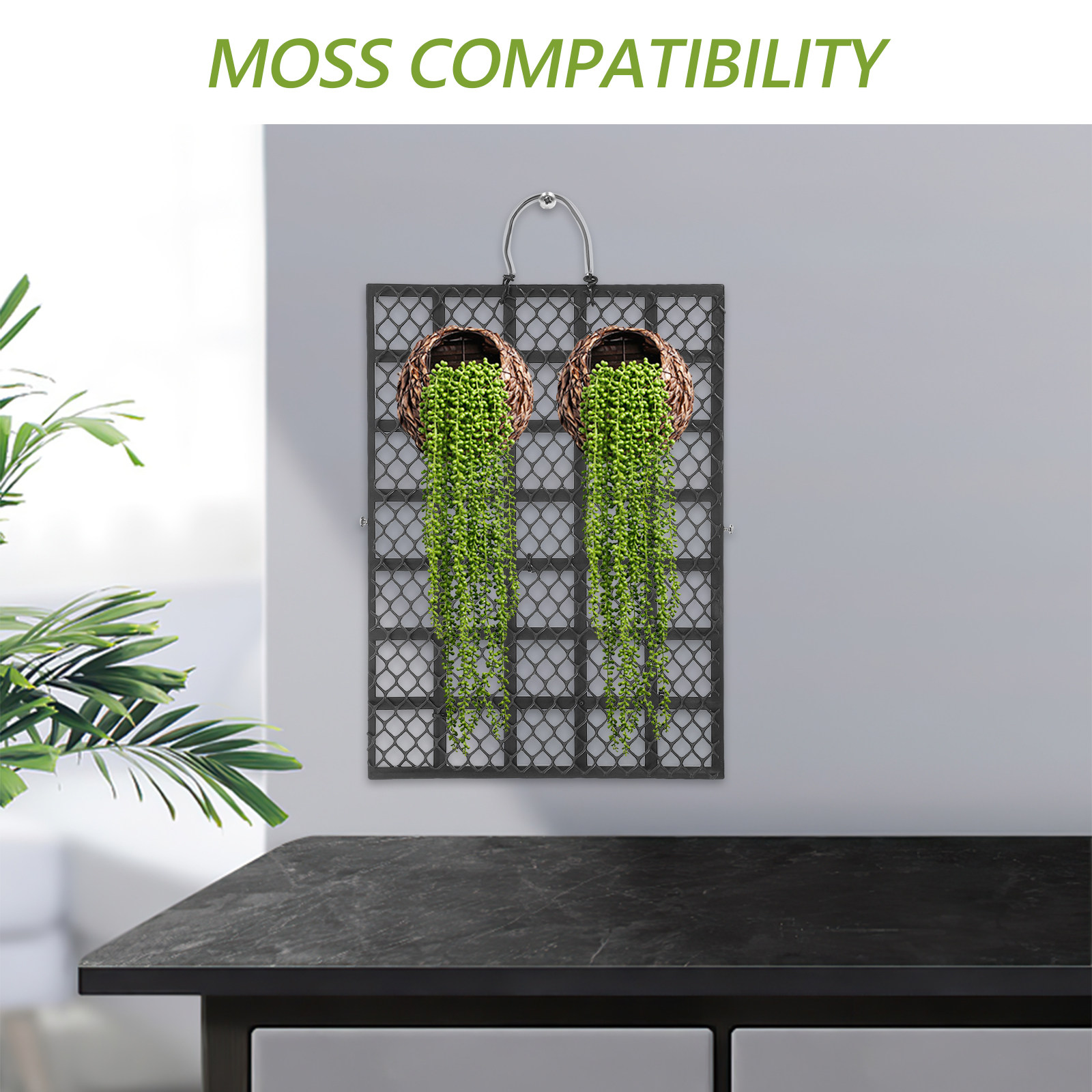 Staghorn-Farn Rustikales Wandm – Vertical Wall Planter Bewertung und Preis