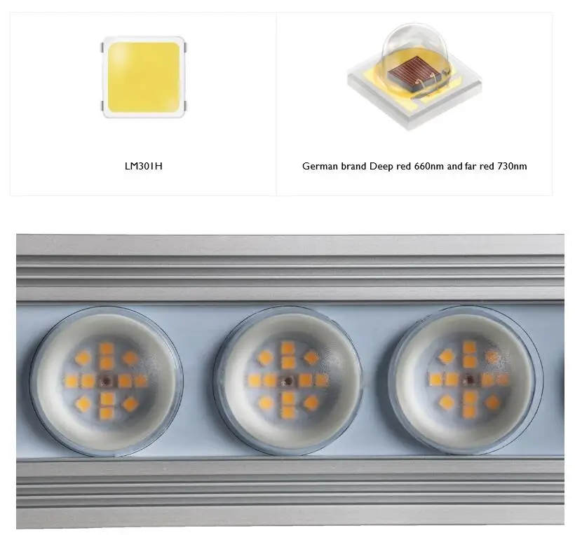 Koray 900W Indoor Vollspektrum – Led Grow Light Bewertung und Preis