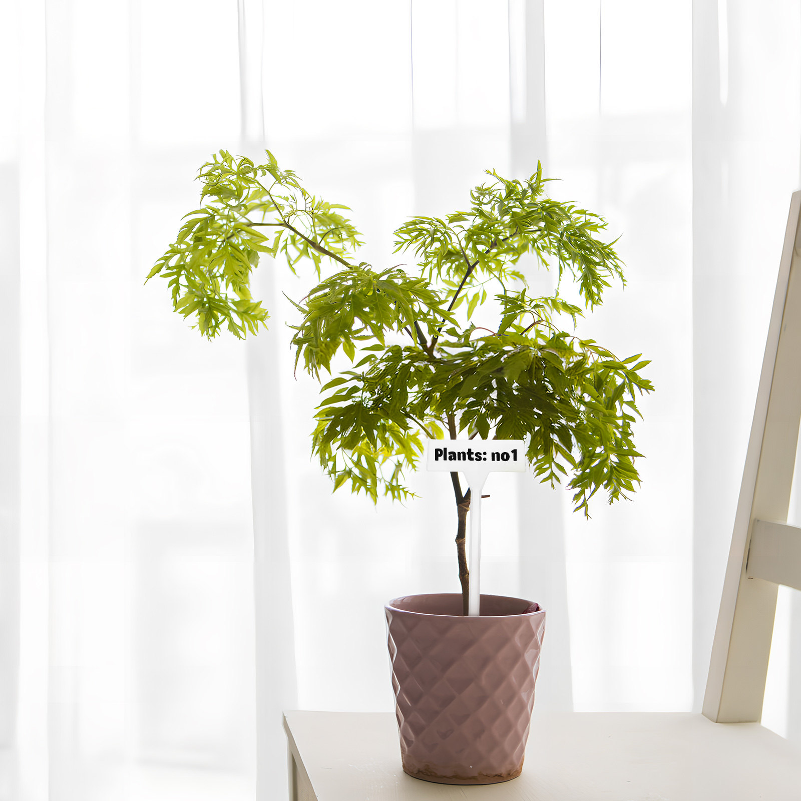 35 Stück Pflanzenetiketten, le – Gardening Tools Names Bewertung und Preis