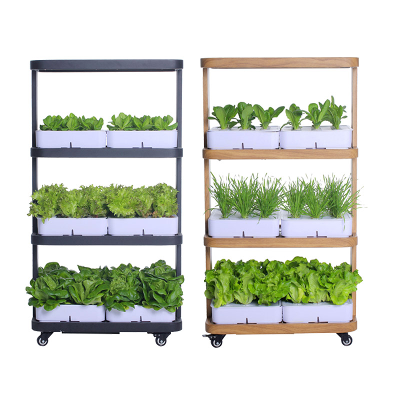 72 Löcher, 6 Pflanzkisten, LED – Led Grow Light Bewertung und Preis