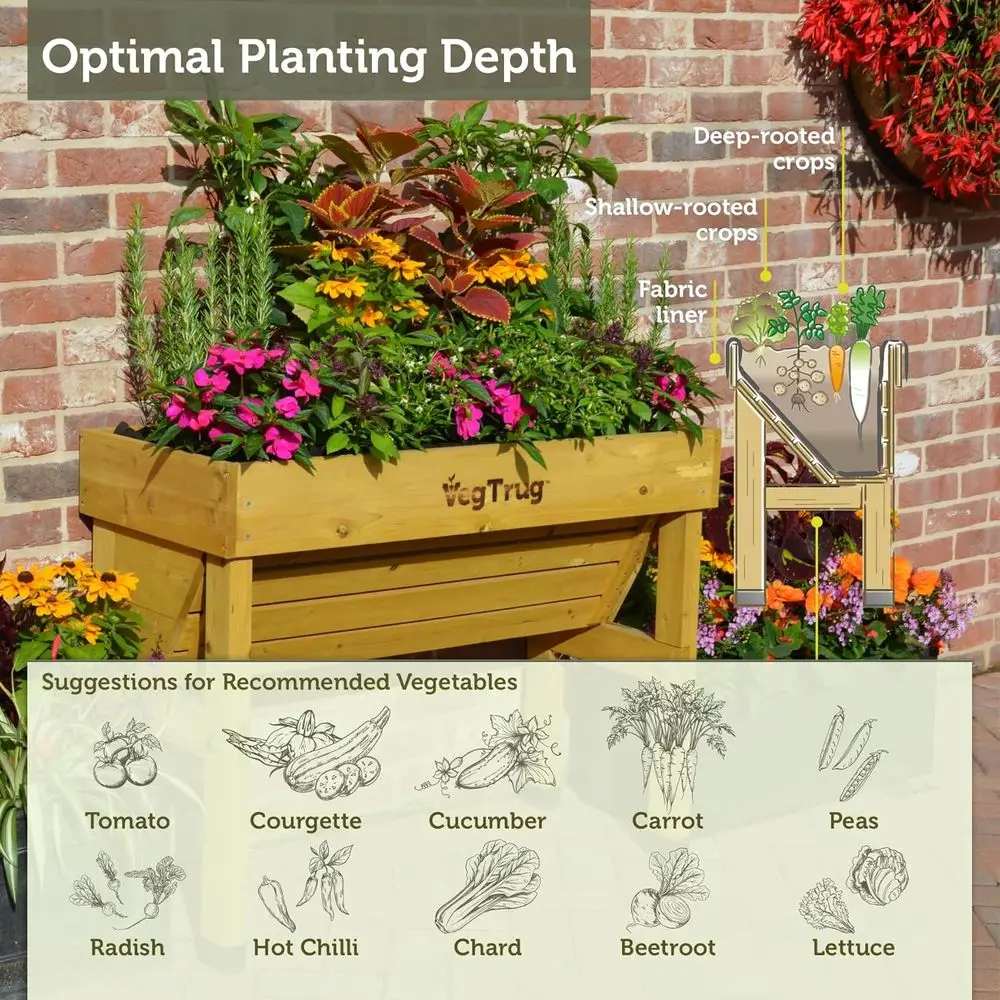 Natürliches Kleines 1m Wandmon – Vertical Wall Planter Bewertung und Preis