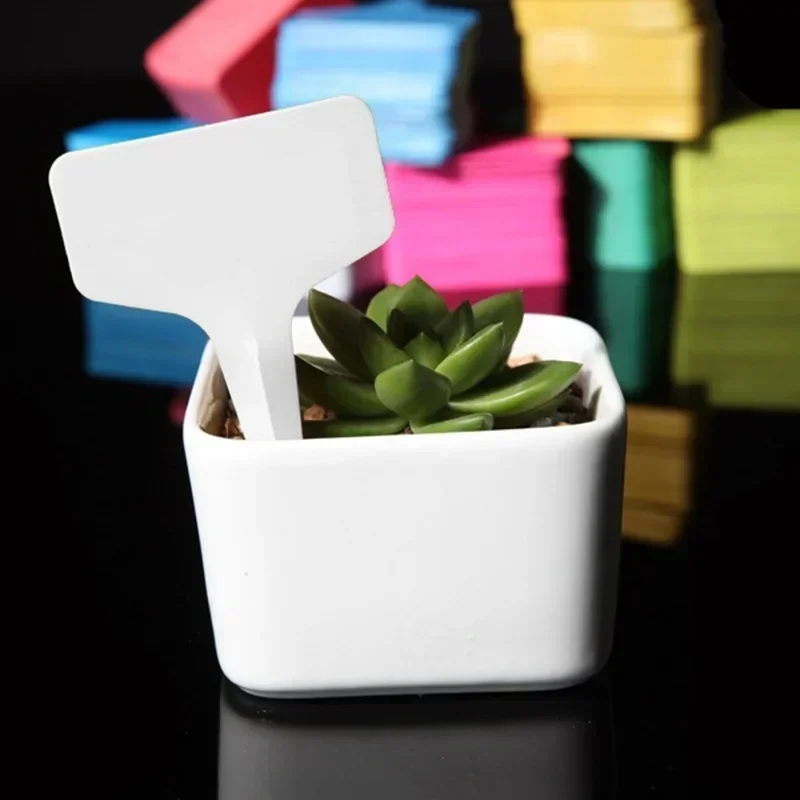 20 Stück wasserdichte Pflanzen – Gardening Tools Names Bewertung und Preis
